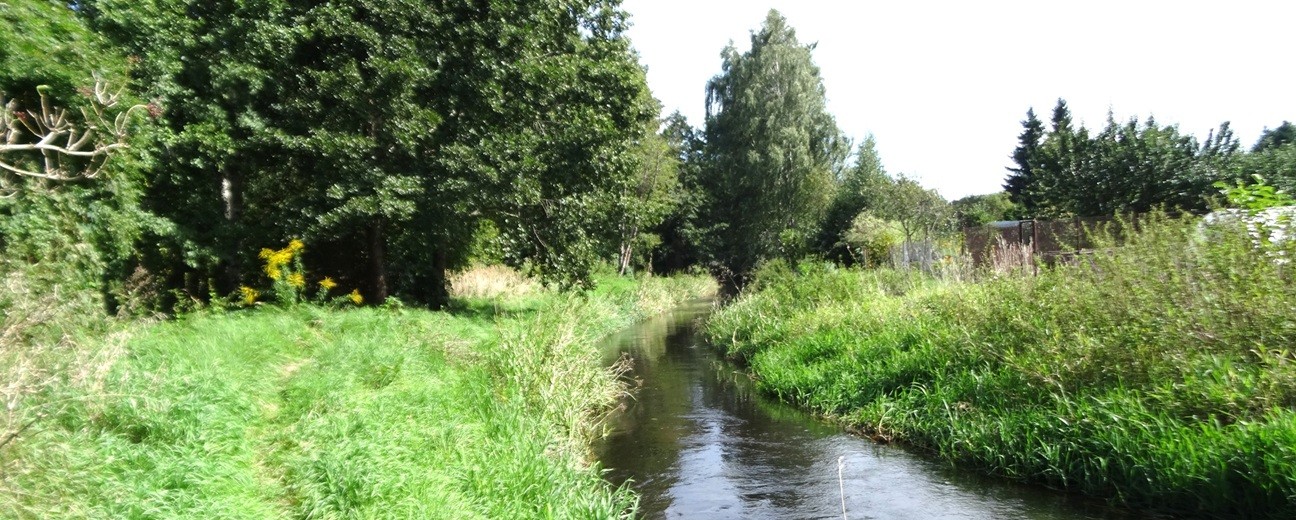 Suwałki. Rozrosną się Bulwary nad Czarną Hańczą [zdjęcia]