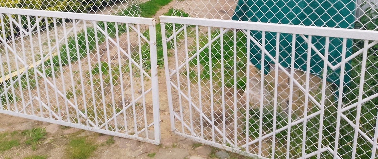 Matka i siostra więzionych w domu pod Suwałkami bliźniąt trafiły do aresztu